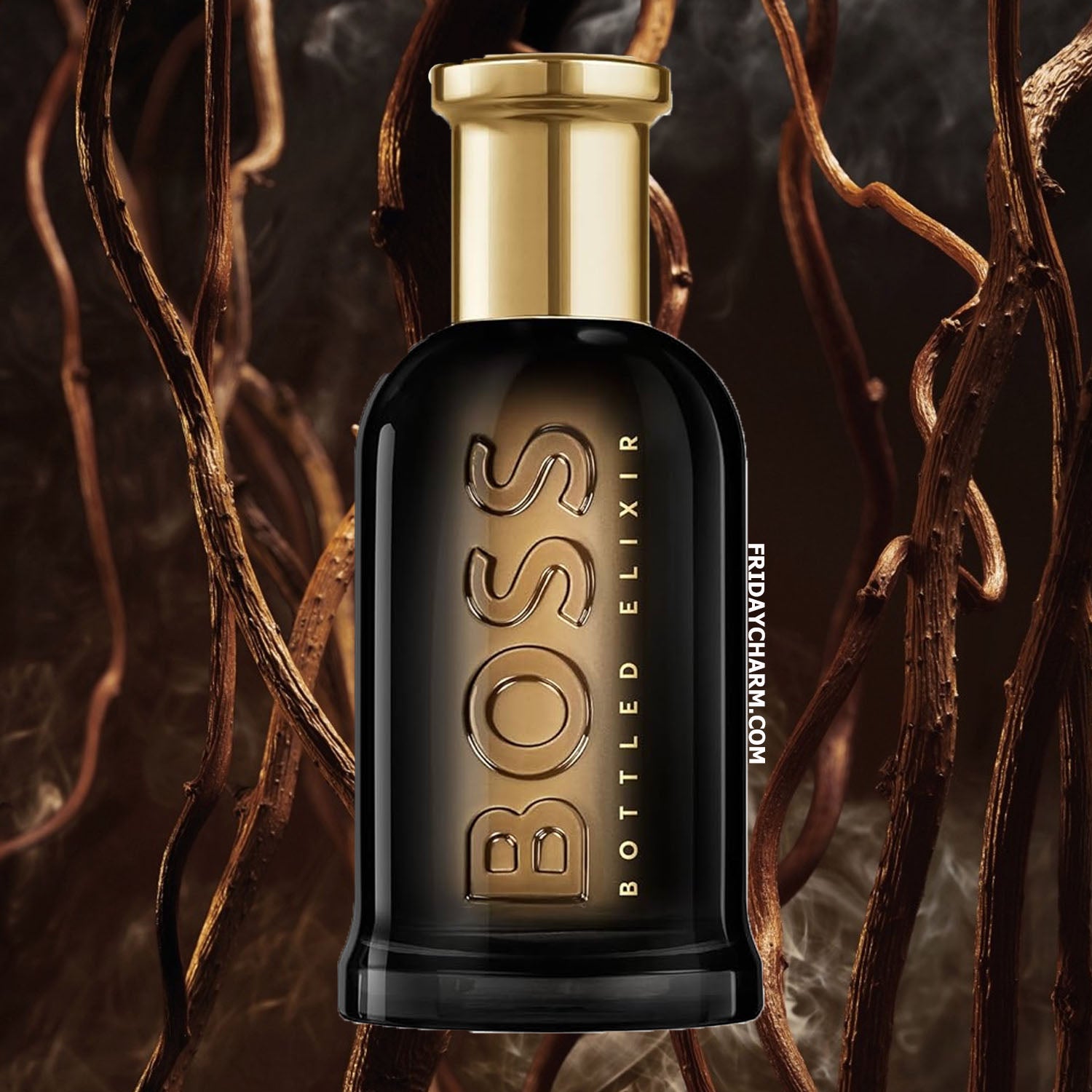 Hugo Boss BOSS Bottled Elixir Parfum Intense For Men